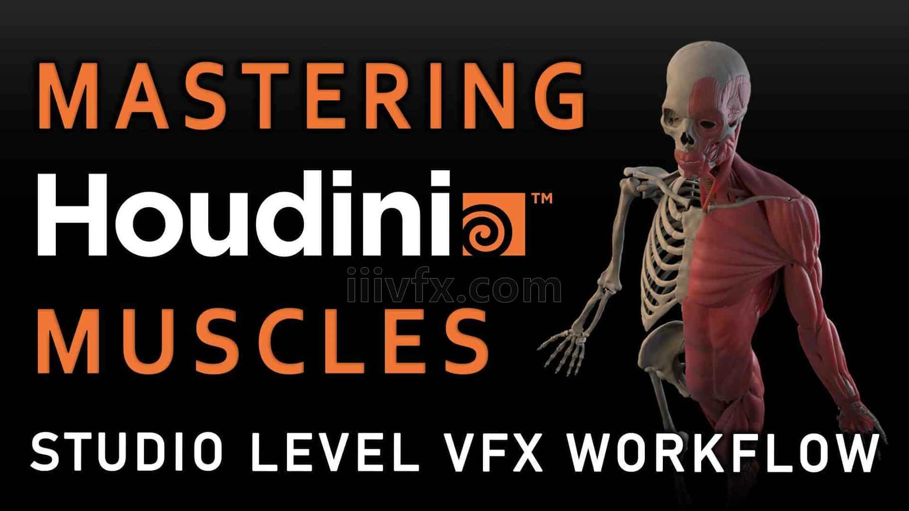 【26号下午更毕 请重新保存网盘】掌握Houdini20.5肌肉系统Muscles特效工作流  特效向专业翻译